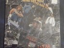 THE WHO WHO ARE YOU PICTURE DISC LIMITED EDITION ORIG. 1978 12