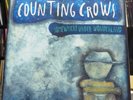Counting Crows - Somewhere Under Wonderland / LP (00602537919291)