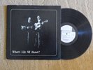 Meredith and Dunbar- What's it all About? vinyl LP-1970 christian folk kilbourne