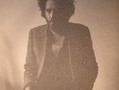 DESTROYER - Poison Season - Vinyl (gatefold 2xLP + MP3 download code)