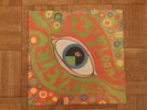 The Psychedelic Sounds of the The 13th Floor Elevators LP Vinyl Record Album