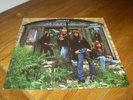 Trouble Trouble self titled S/T 1st press LP