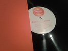 RENE ET GASTON FRESH FRUITS RECORDS 12' SINGLE VALLES DE LARMES VINYL 1993