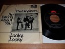 The Skyliners - I'm Talking About You 7