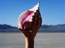 THE KILLERS WONDERFUL WONDERFUL 2LP  VINYL NEW SEALED 