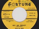 Pete De Bree - Hey Mr Presley / Long Tall Lou orig rockabilly 45 on Fortune 7
