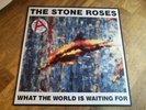 the Stone Roses 12