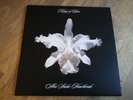 Kings of Leon 2x 10
