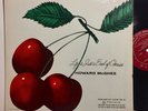 Howard McGhee Life Is Just A Bowl Of Cherries Bethlehem BCP 61 DG Jazz Vinyl LP