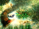 Pink Floyd A Saucerful Of Secrets, Columbia SX 6258, Mono LP, 1968. 1st pressing