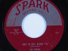 R&B Doo Wop 45 ROBINS Riot In Cell Block #9 SPARK HEAR