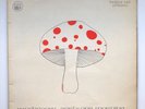 MUSHROOM Early One Morning original 1973 Irish acid folk psych prog LP + inner