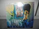LP In Flames 