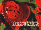 THE BREEDERS Last Splash - LP / Red Vinyl (Reissue 2016) Import