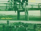 RISING STORM, The - Calm Before - Vinyl (LP)