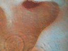 PINK FLOYD - MEDDLE - UK 71 - 1st PRESS - MINT-NM