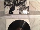 Pungent Stench / Disharmonic Orchestra - Split