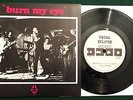 RADIO BIRDMAN   Burn My Eye UK 1987 Total Eclipse 1st edition #875 7