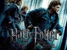 Alexandre Desplat - Harry Potter And The Deathly Hallows Part 1 2LP DA209533636