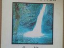 Stan Kline - Forest Flower  Rare Private Press Jazz Funk LP