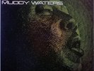 MUDDY WATERS / THE BEST OF MUDDY WATERS / BLUES / VICTOR JAPAN