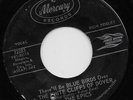 THE EPICS - Mercury 72283 - WHITE CLIFFS OF DOVER  JAMES BROWN Production