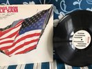 GREETINGS FROM UNCLE SAM - ALICE IN CHAINS, SOUNDGARDEN, DINOSAUR JR - 1993 LP