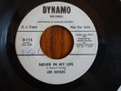 Promo Deep Soul Funk 45 Lee Moses on Dynamo Never In My Life/Loving You Hear It