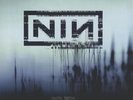 With Teeth Nine Inch Nails USA vinyl LP album record B000455301 INTERSCOPE