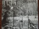 Eternity / Wolfsmond - Split 7