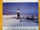 Pinback -Blue Screen Life. 2X LP clear vinyl. Gatefold 2003. Ace Fu records