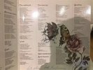 Kate Bush- Signed Never For Ever Lp. Last One. Not Personalised