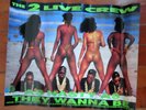 RAP- POSTER-ORIGINAL 1989-TWO LIVE CREW 
