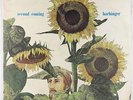 Harbinger - Second Coming LP - Rare Private Psych Folk VG++