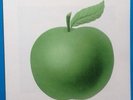 Beatles Yoko Ono Fly Original Fresh From Apple Promo Handbill Flyer SAPTU 1971