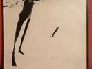 SCRATCH ACID s/t LP 1984 Rabid Cat