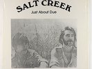 Salt Creek - Just About Due LP - MT - Private Rural Rock VG+ Shrink
