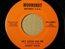 SANDY GAYE-TALK IS CHEAP-NORTHERN DEEP SOUL CLASSIC-MOONSHOT 69001 *LISTEN*