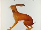 Vashti Bunyan - Lookaftering LP - Dicristina Stair Builders VG+