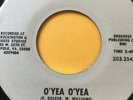 VIRGINIA FUNK 45/ ROBIN HOOD (RAW SOUL BAND) 
