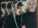 Blondie  -  Blondie    (Orig  1976   Private Stock  2023) LP