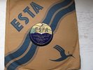 JOSEPH SCHMIDT tenor MATTINATA  Leoncavallo /VORREI MORIRE    E    78 rpm  10