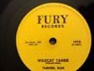 Blues/Rockabilly 78rpm Tarheel Slim - Wildcat Tamer/Number 9 Train FURY E+ RARE