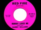 Sammy Williams Red Fire1001 E Soul 45 Gonna Let My Hair Down b/w Nobody Loves Me