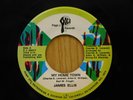 James Ellis 45 My Home Town bw Instrumental   Pogo J M-