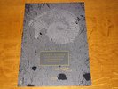 THE COCTEAU TWINS - AIKEA GUINEA - ORIGINAL 1985 UK PROMO POSTER