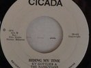 THE NASSUVIANS KY GOTTLIEB & BLUE NOTES 1974 CICADA 002 ISLAND SOUL