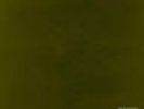 Kendrick Lamar Untitled Unmastered signed vinyl LP NEW/SEALED
