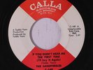 SANDPEBBLES: If You Didn't Hear Me The First Time / Flower Power 45 (funky Soul