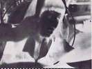 DALTON argitari LP original IAF prog Italy in condizioni perfette NEAR MINT rare